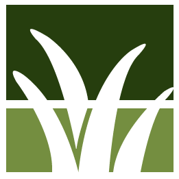 Orange Lawn Clean Up