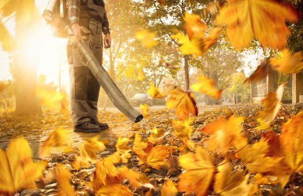 Leaf Blowing Service in Orange