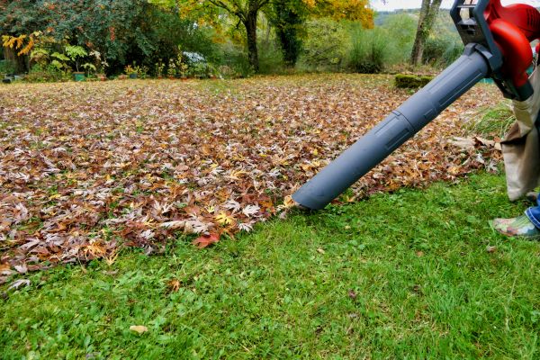 Leaf Vacuuming Service in Orange