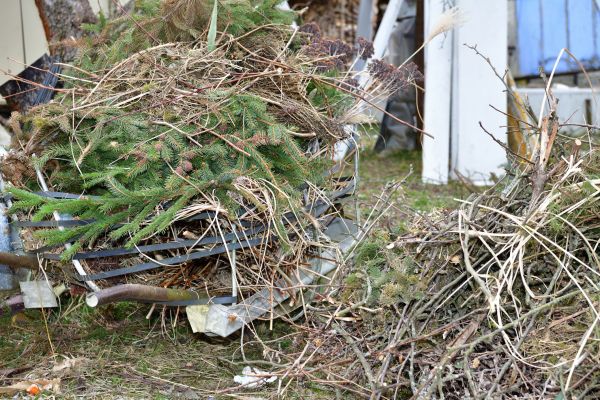 Yard Debris Removal in Orange