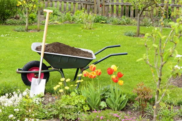 Cost of Spring Yard Cleanup in Orange