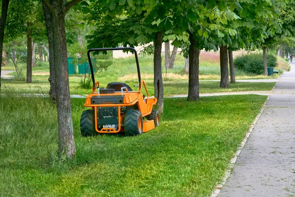 Landscaping Cleanup Service in Orange