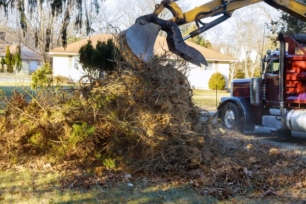 Storm Debris Removal in Orange