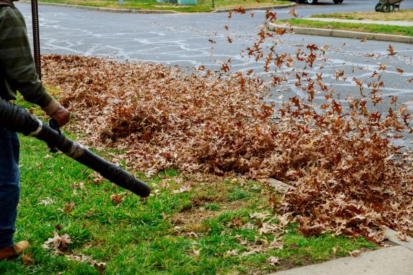Cost of Garden Leaf Removal in Orange