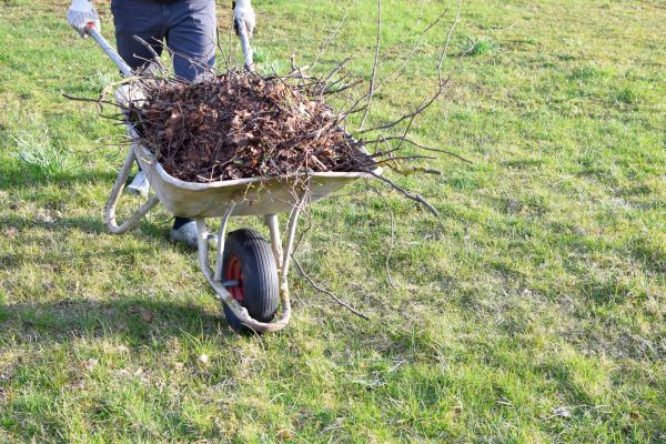 Yard Brush Removal in Orange