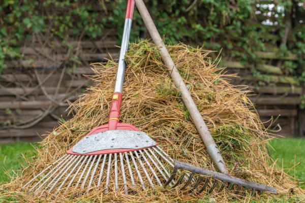 Cost of Pine Straw Clearing in Orange