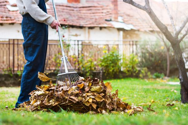 Spring Lawn Cleanup in Orange