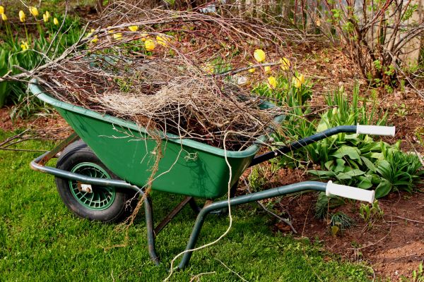 Lawn Waste Removal in Orange