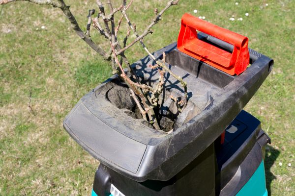 Cost of Brush Cleanup Service in Orange