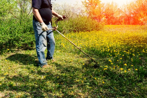 Cost of Yard Clearing Service in Orange