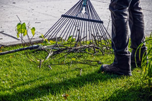 Yard Debris Cleanup in Orange