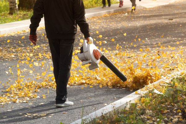 Commercial Leaf Removal in Orange